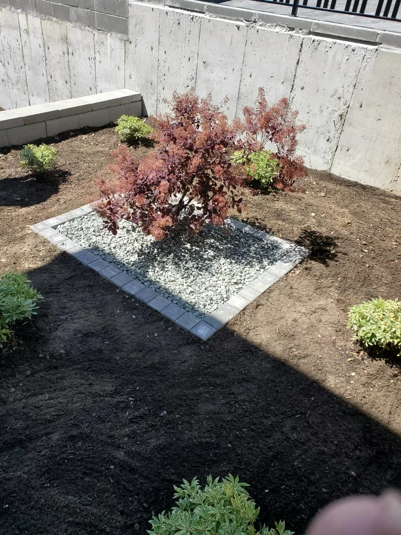 Recent work by Surrey King Construction in the BC Lower Mainland.