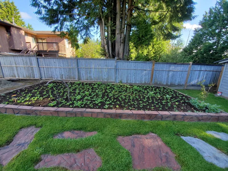 Recent work by Surrey King Construction in the BC Lower Mainland.