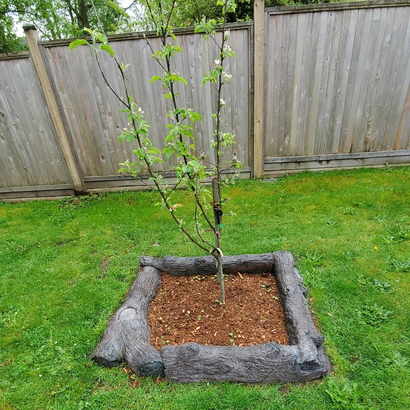 Recent work by Surrey King Construction in the BC Lower Mainland.